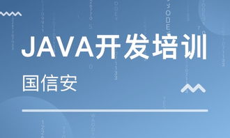 成都四川國(guó)信安職業(yè)培訓(xùn)學(xué)校 河北新聞網(wǎng)推薦品牌，專(zhuān)注軟件外包服務(wù)