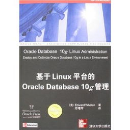 對日軟件外包服務 技術挑戰、市場機遇與成功之道